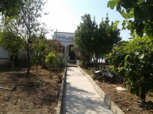 img-20161003-wa025